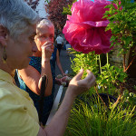 Guests experiencing the fragrant plants at the Redefining Vision Garden Party